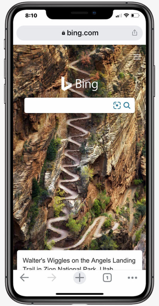 New York SEO expert with Bing search engine optimization